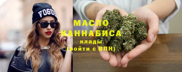Альфа ПВП Горняк