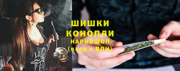 стафф Анжеро-Судженск