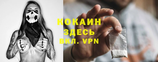дурь Вяземский