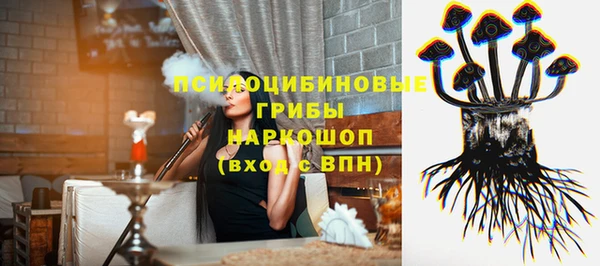 дурь Вяземский