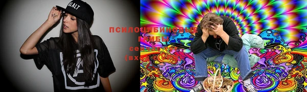 трава Снежногорск