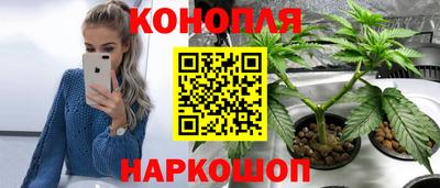 сатива Волжский