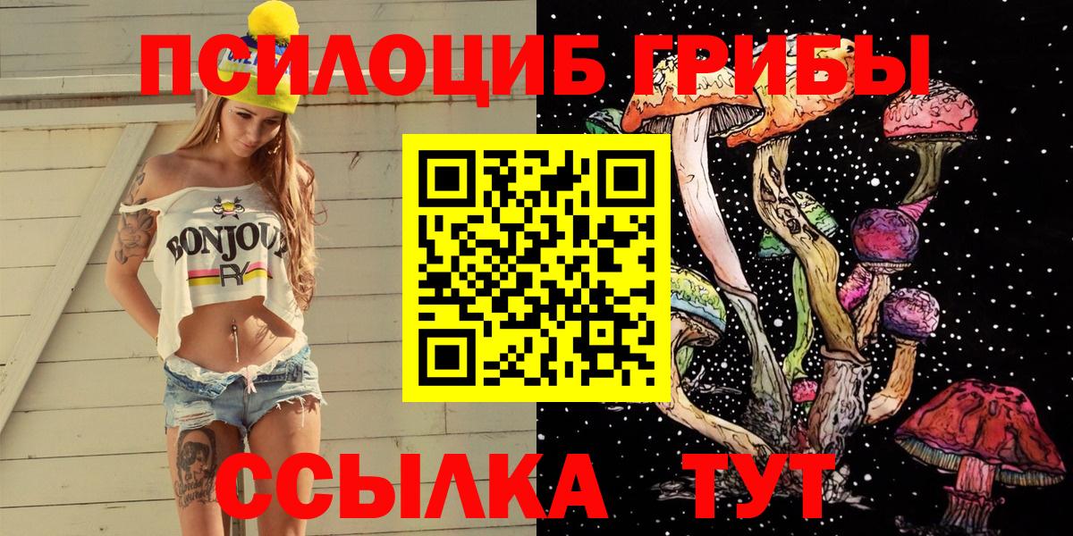 Псилоцибиновые грибы GOLDEN TEACHER Губкин