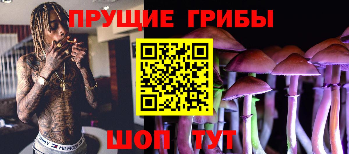 Галлюциногенные грибы Cubensis Губкин