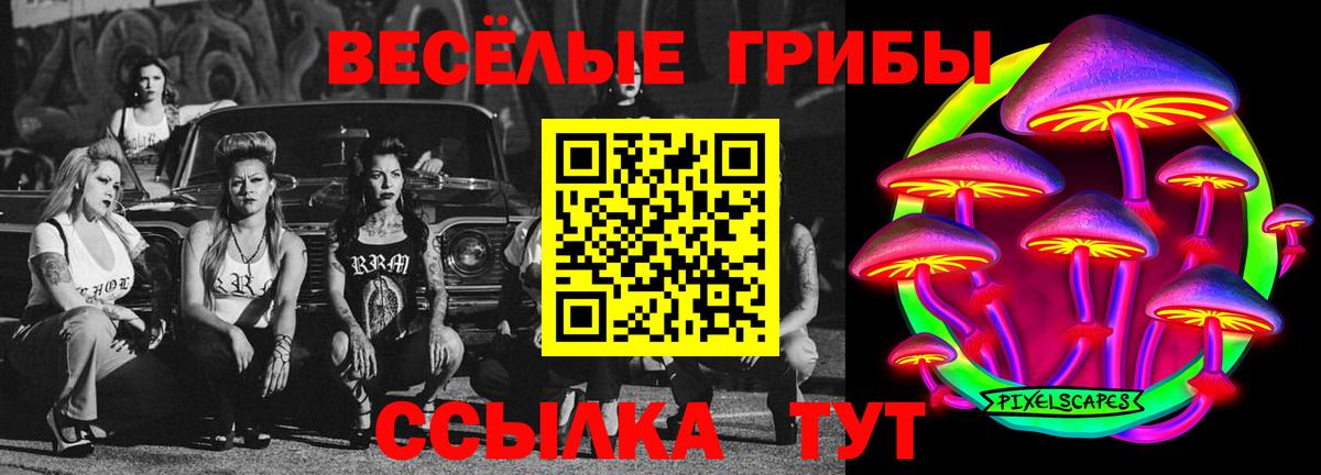 Псилоцибиновые грибы прущие грибы  как найти закладки  Губкин 