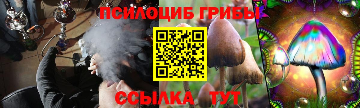 Губкин  Галлюциногенные грибы Psilocybine cubensis  Вход с VPN 